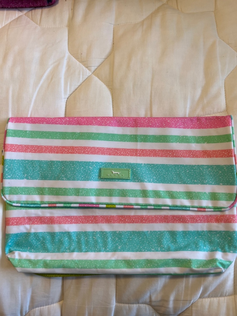 Scout Striped Fold-Over Clutch in Pink, Mint & White